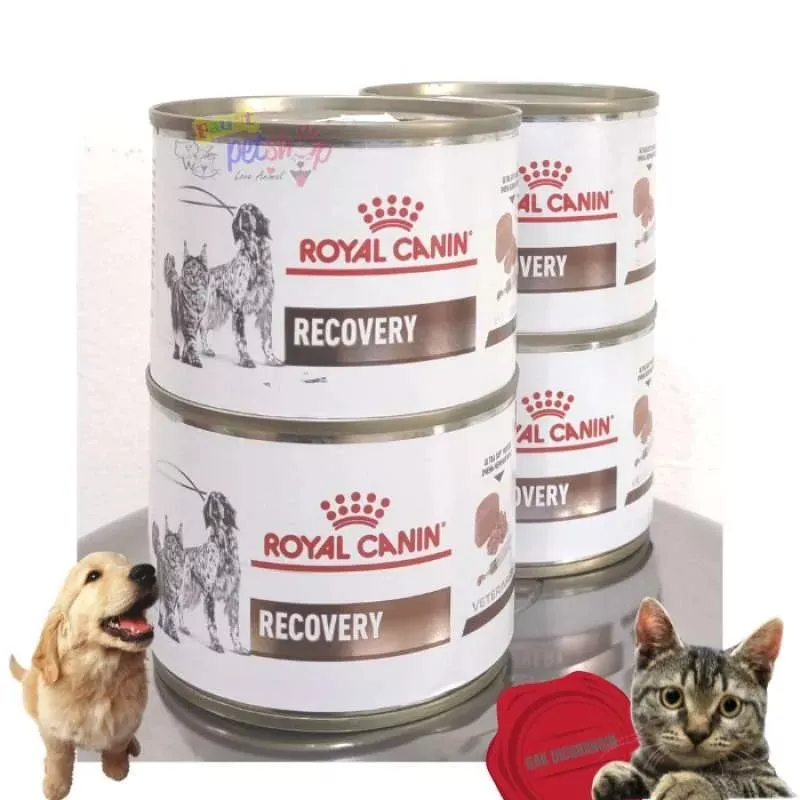 royal-canin-recovery